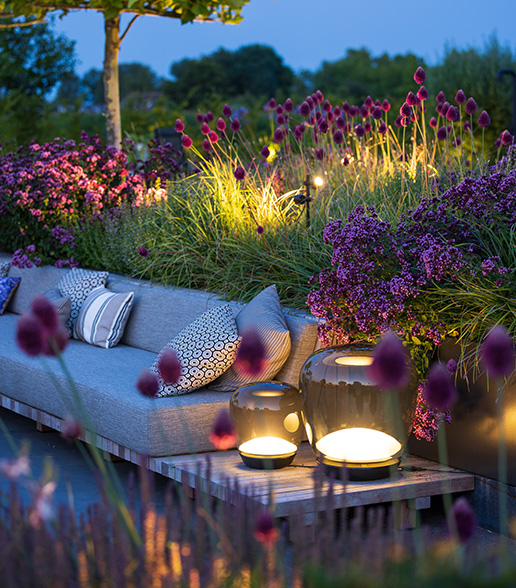 In-Lite Voque in garden beside big Voque