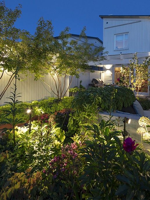 Mini Scope due spotlight installed lighting up backyard garden.