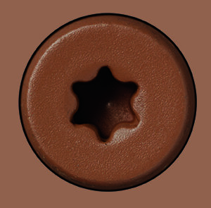 #63 Buckskin screw