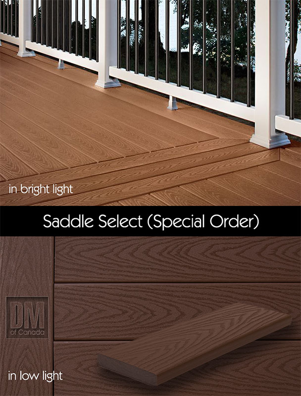 Trex select, Saddle